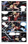 Black Canary Best of The Best #1-3: 1